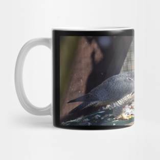 Peregrine Falcon Mug